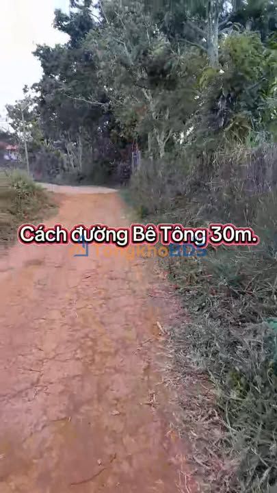 Đất nền Nghĩa Phú Gia Nghĩa 500m² 790tr - Sổ đỏ chính chủ