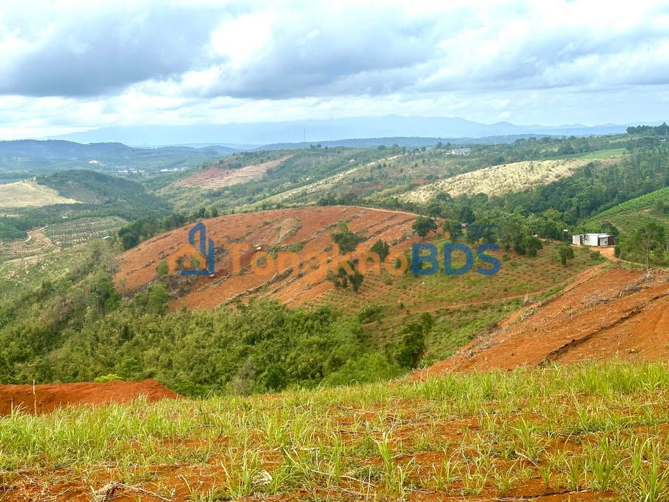 Đất nền Đắk Nông 4.5ha giá tốt - Sổ đỏ sắp cấp