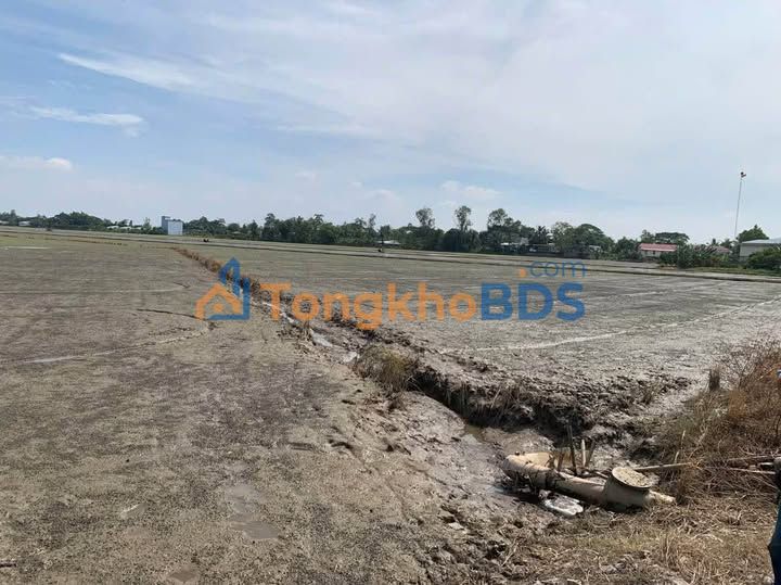 Đất Vườn An Giang - 10.800m² Mặt Tiền Lộ Nhựa Giá Tốt