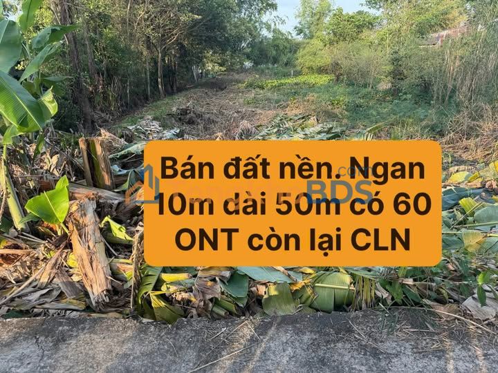 Đất nền Thạnh Quới Vĩnh Thạnh 450m² 750 triệu - Sổ đỏ chính chủ