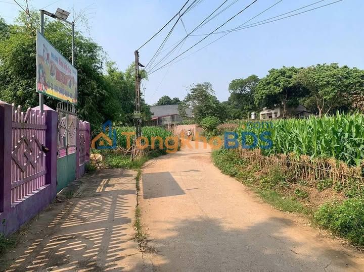 Đất nền Việt Trì 118m² - Mặt tiền 6m - Lô góc, đường ô tô tránh