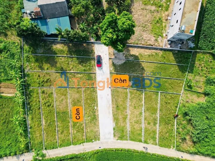 Đất nền Sơn Hùng, Thanh Sơn: Sổ hồng riêng, full thổ cư 135m², xây nhà vườn lý tưởng