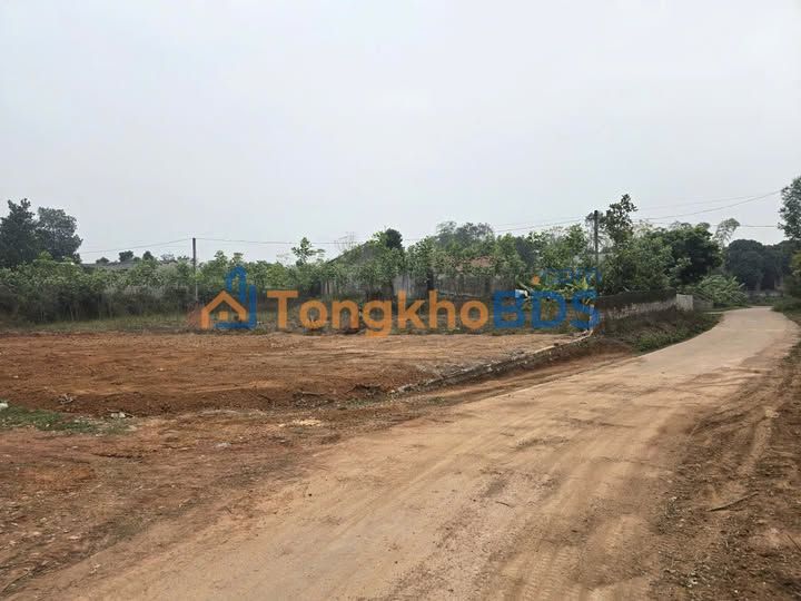 Bắc Giang: 2 Lô Đất Vàng Xã An Dương - Gần KCN Phúc Sơn - Chỉ Từ 800 Triệu