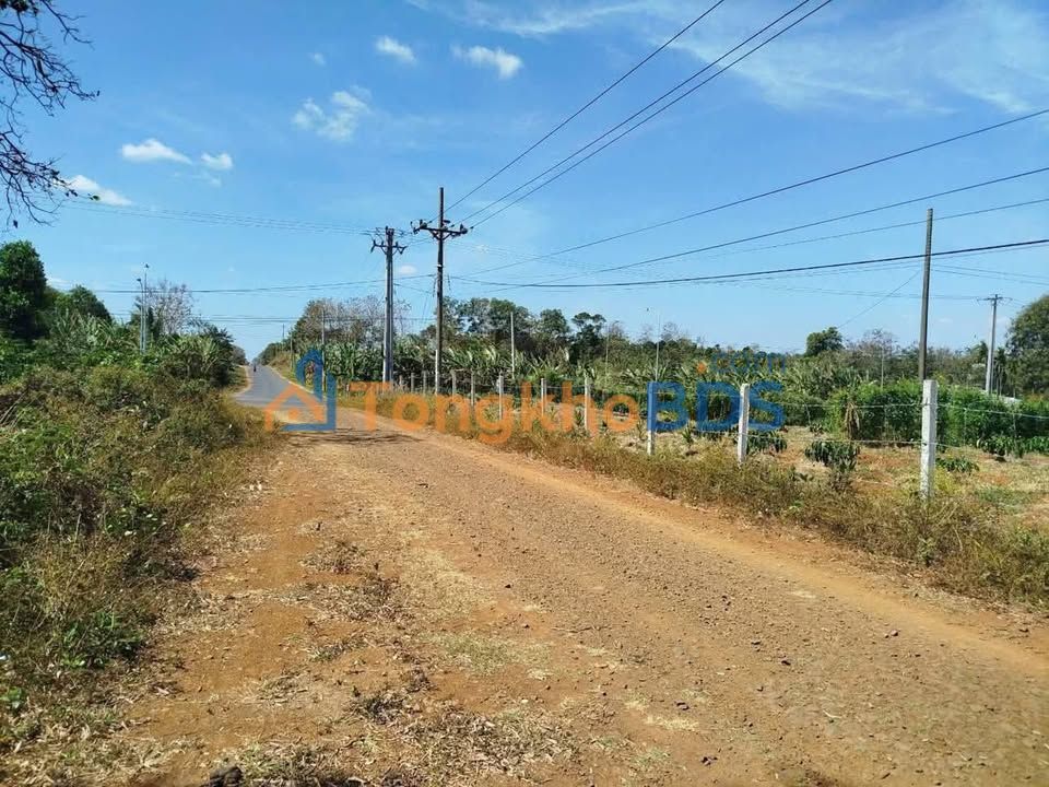 Đất nền Khánh Xuân 6.77 sào 3.18 tỷ - Sổ đỏ chính chủ