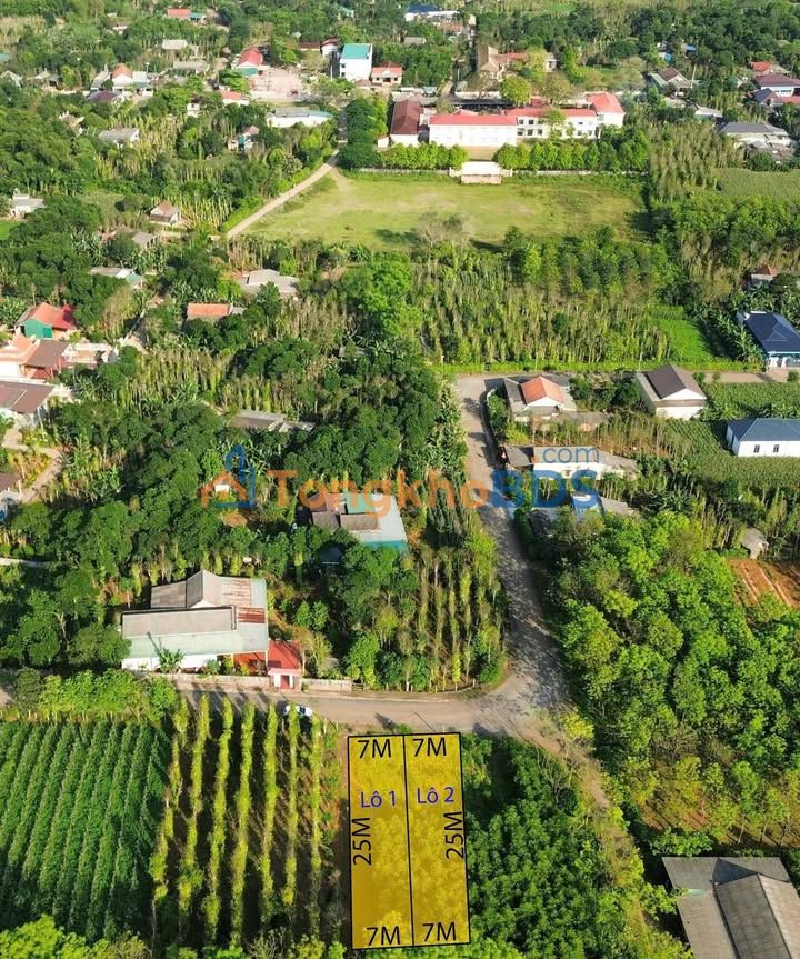 Đất Vĩnh Linh 175m² Sổ Đỏ - Giá 320 Triệu Đầu Tư Sinh Lời