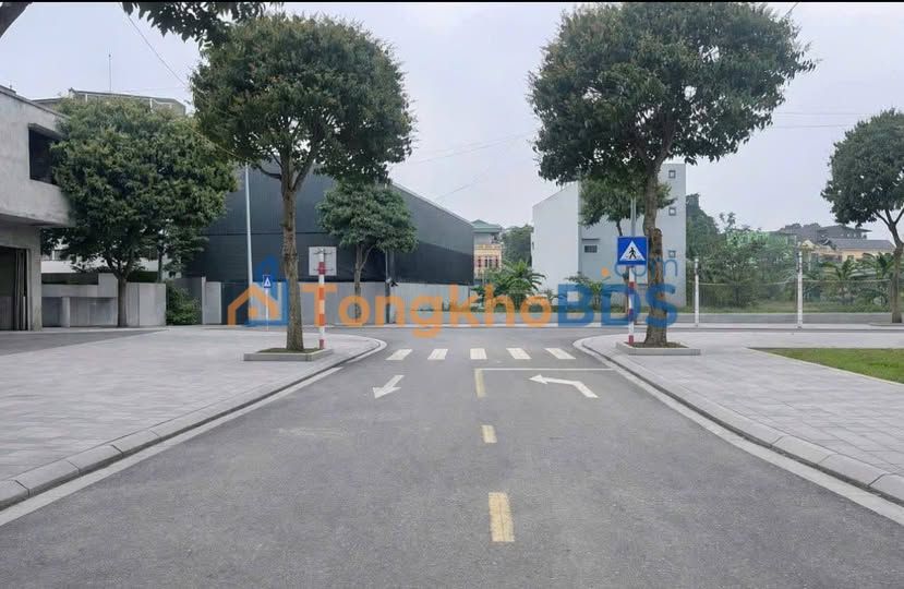 Đất Biệt Thự VIP Việt Séc, Việt Trì 252.5m² - Sổ Đỏ Sẵn Sàng