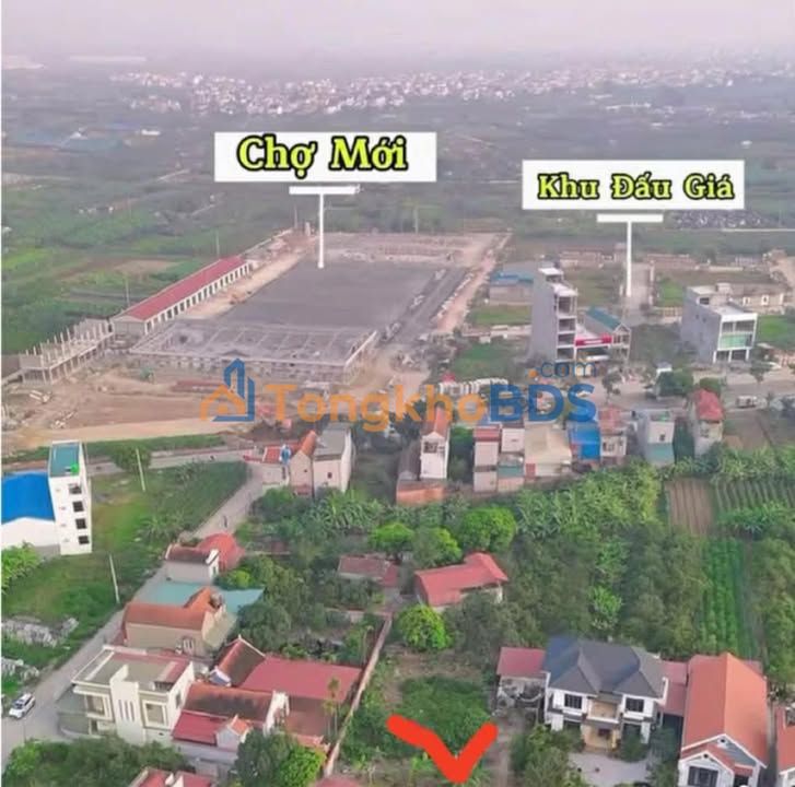 Đất nền Đông Tảo Khoái Châu 500m² thỏa thuận - Sổ đỏ chính chủ