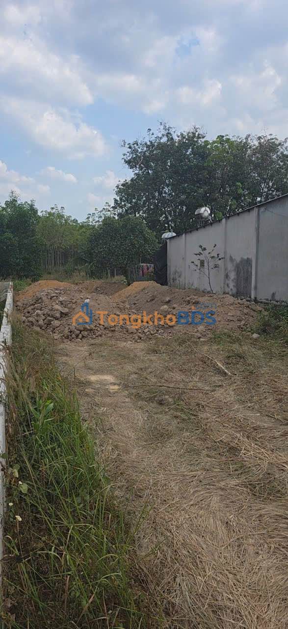 Đất Phú Giáo ĐT742 750m² giá 6 tỷ - Đường to ô tô