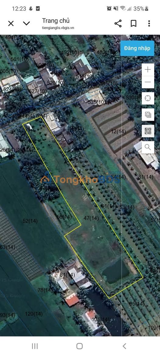 Đất nền Long Vĩnh 4.276m² 2.8 tỷ - Sổ đỏ chính chủ