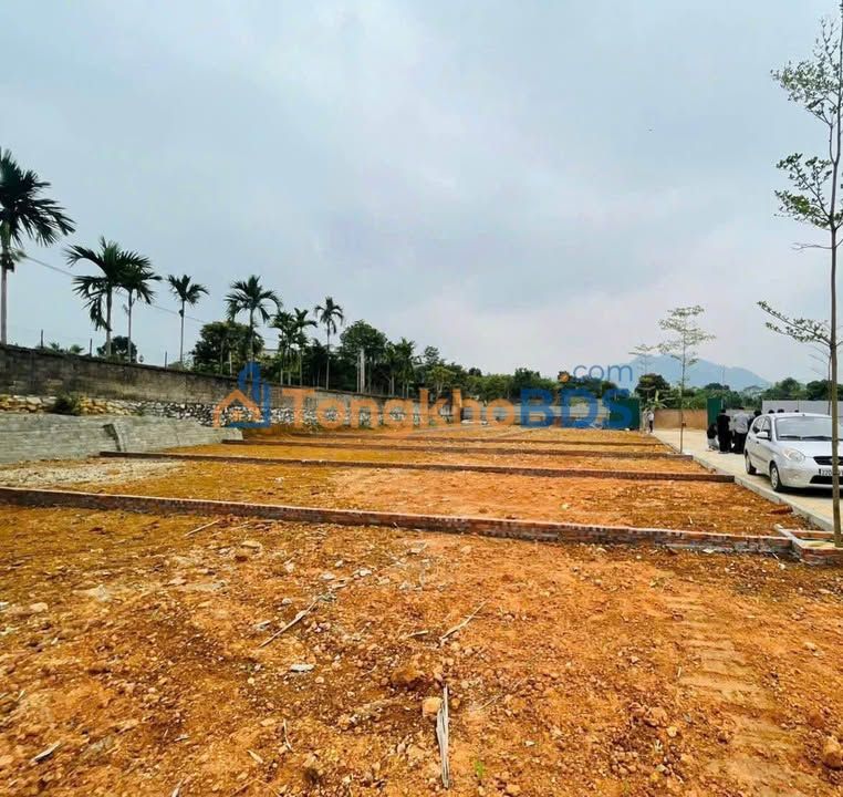 Đất nền Sóc Sơn 100m² 250 triệu - Sổ đỏ chính chủ