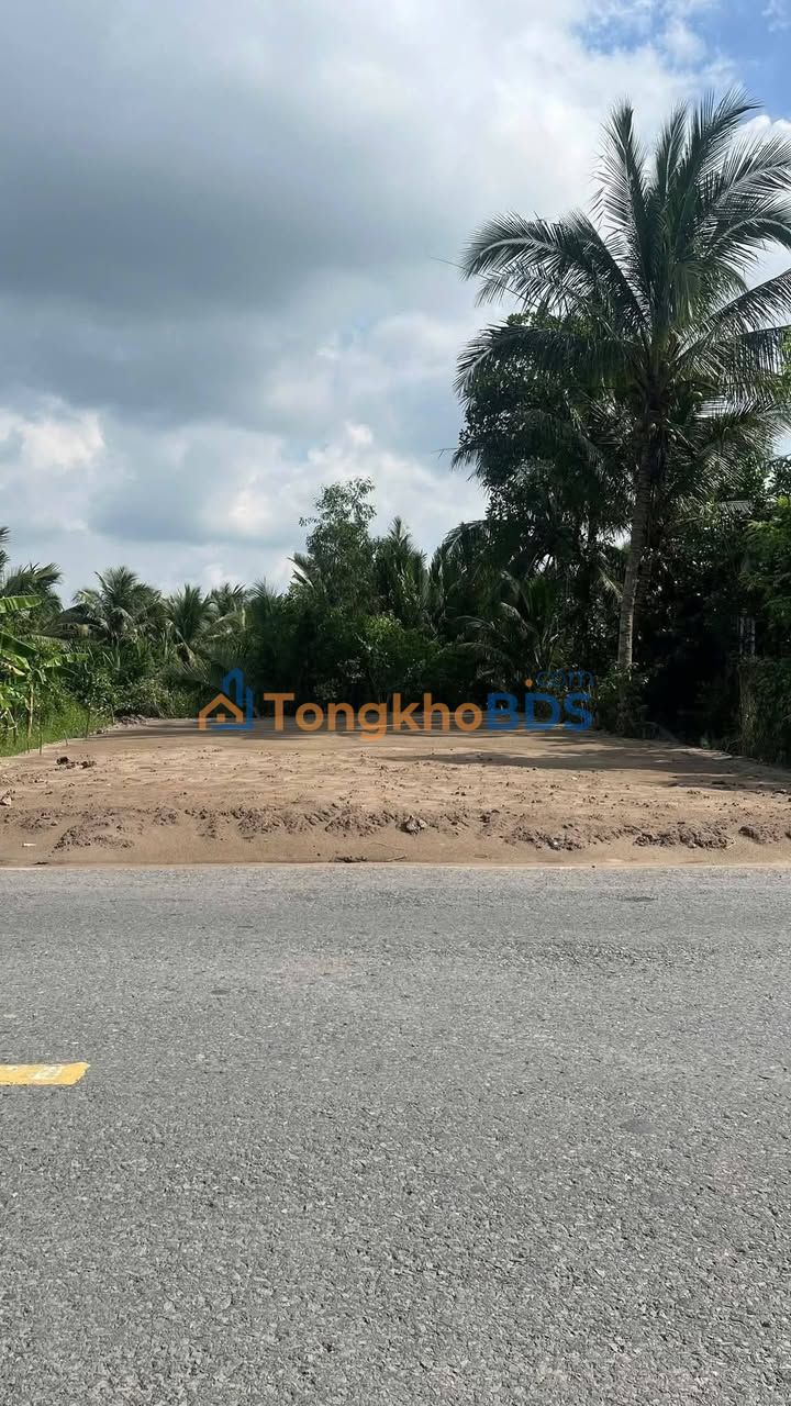 Đất nền An Ngãi Trung Ba Tri 231m² 100tr/m - Đường ô tô