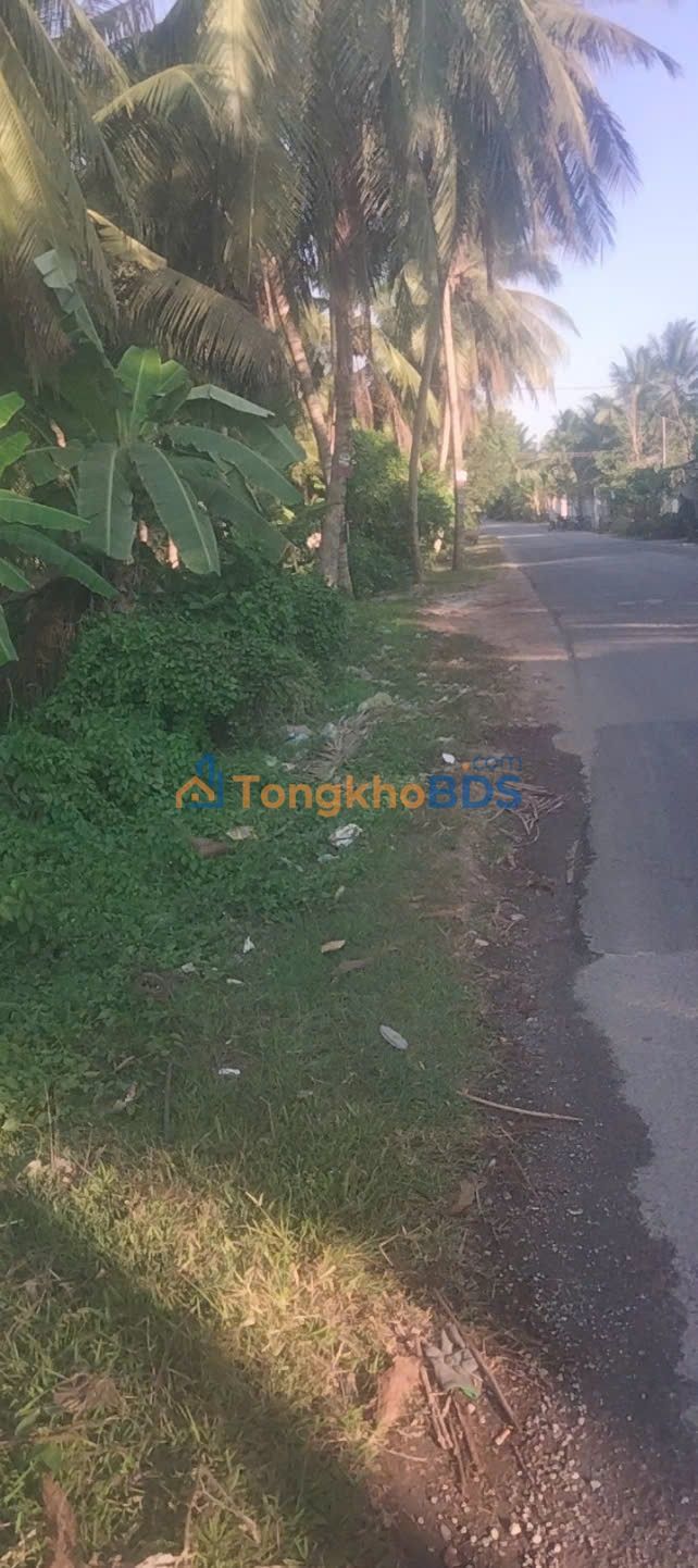 Đất vườn Thanh Tân 4.100m² 8.5 tỷ - Sinh thái xanh đang cho trái