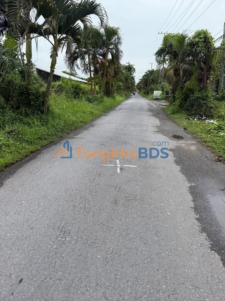 Đất nền Đường Hàng Cau Phước Thạnh 1.000m² 4.2 tỷ - Sổ đỏ chính chủ