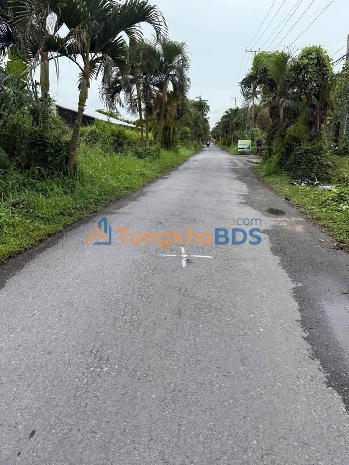 Đất nền Bến Tre, H. Châu Thành 1000m² giá 4.2 tỷ - Sổ đỏ chính chủ