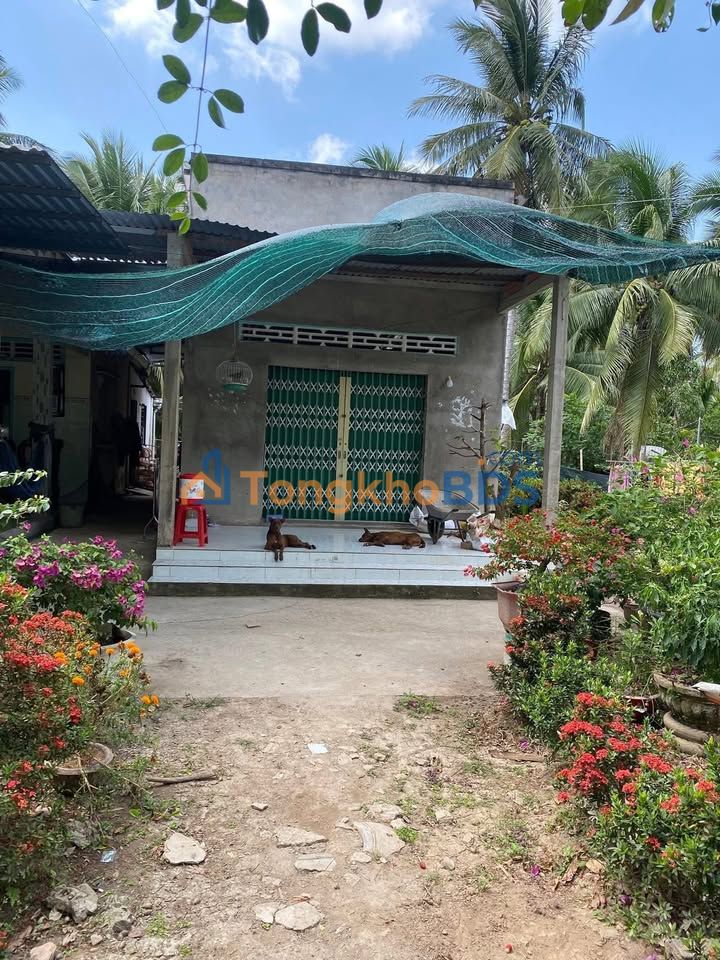 Nhà cấp 4 Định Thủy 1.110,6m² 500 triệu - Sẵn sàng ở ngay