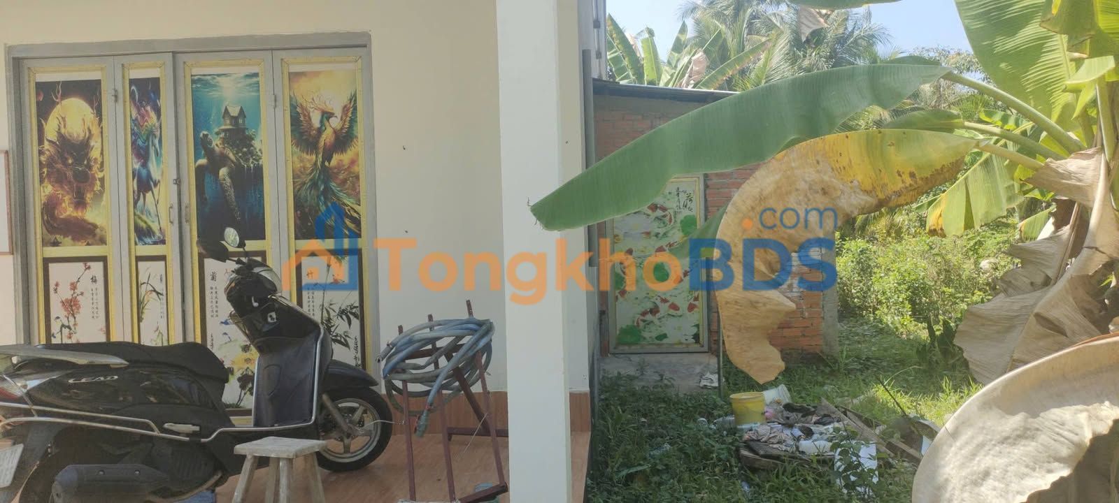 Đất nền Mỹ Thạnh Giồng Trôm 965m² giá 700 triệu - Xây dựng tự do