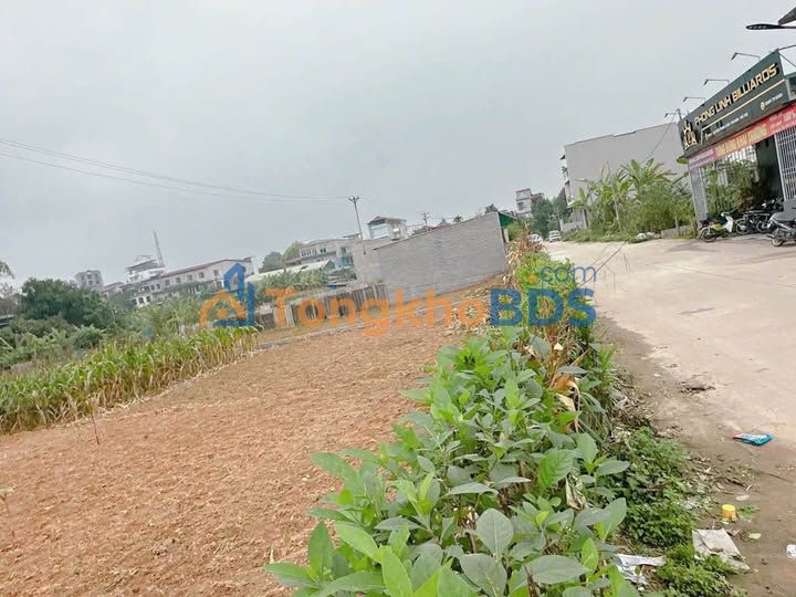 Bán Đất Thổ Cư Phú Thọ 173.5m² - Sổ Đỏ Rõ Ràng, Đường Ô Tô Tránh