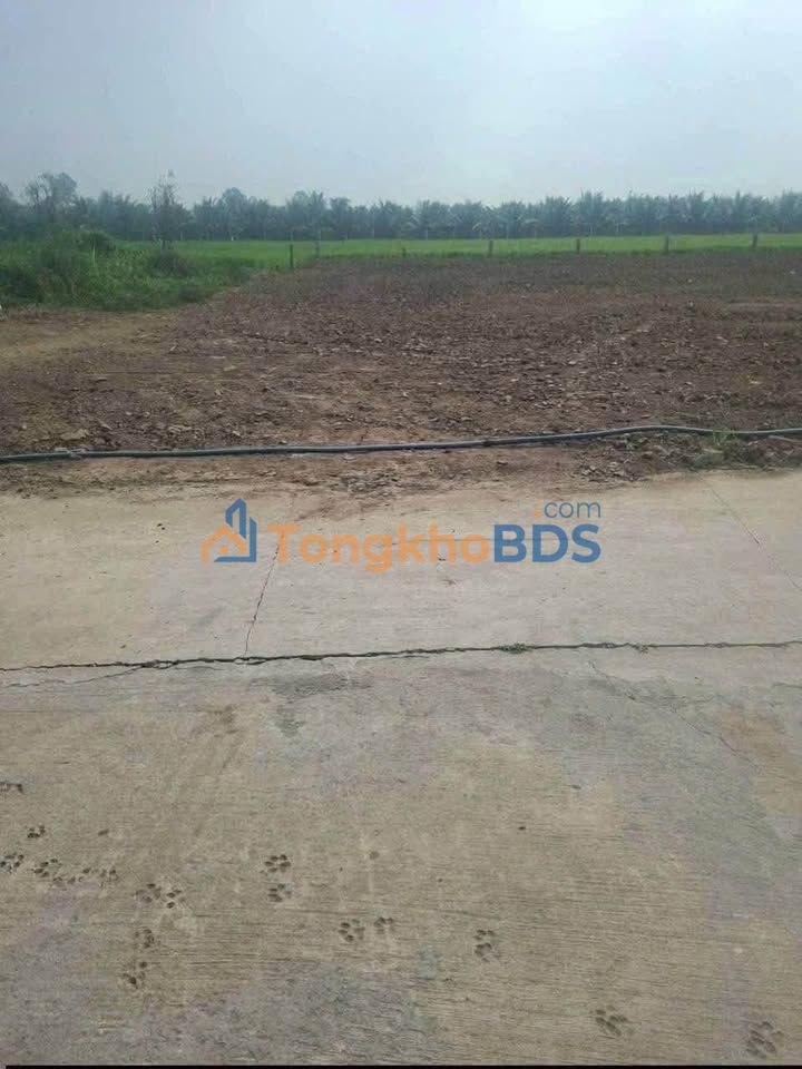 Đất nền Long Hưng Gò Công 205m² 350tr - Sổ đỏ chính chủ