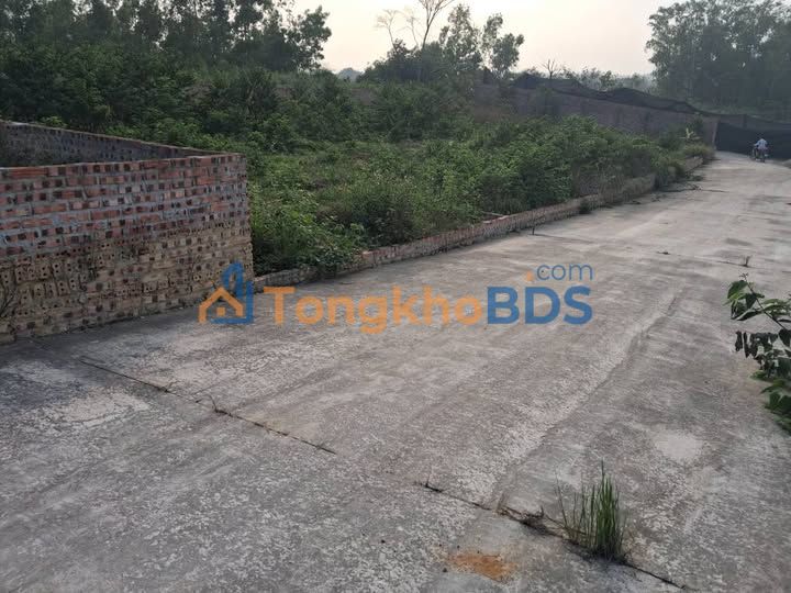 Đất nền Tam Quan, Tam Đảo 80m² - Chỉ từ 400 triệu, sát KCN