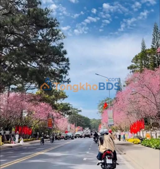 Nhà Mặt Tiền P2 Đà Lạt - Kinh Doanh Đa Ngành, 17 Triệu/Tháng