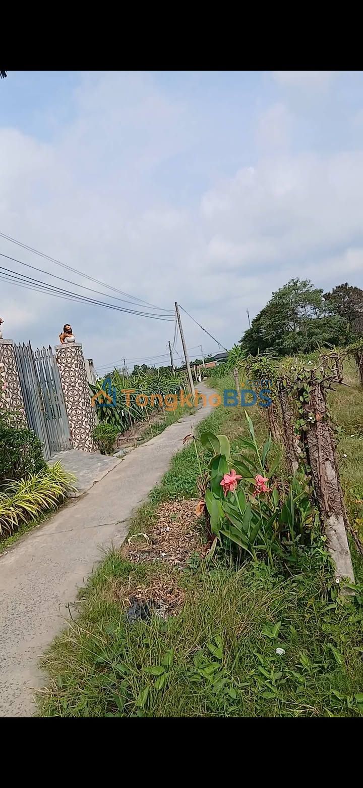 Đất nền An Lục Long 2000m² 740 triệu - Tiềm năng tăng giá