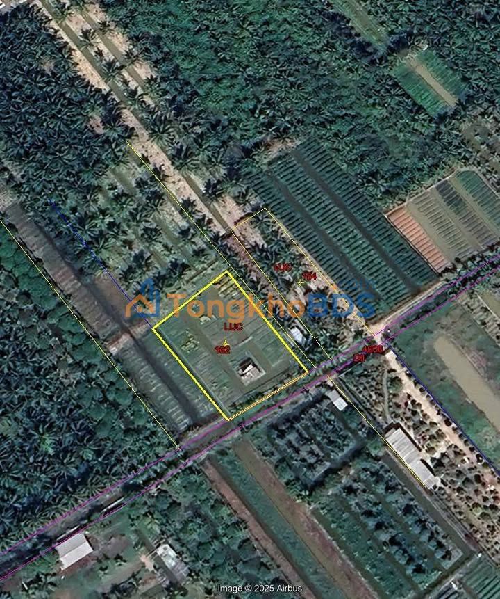 Đất Long Phước Long Hồ 1266m² 1,65 tỷ - Đường to ô tô