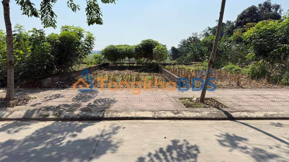 Đất Hồ Sơn Tam Đảo 100m² 1.7 tỷ - Sổ đỏ chính chủ