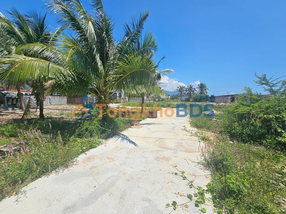 Đất PK8 Vạn Thọ 100m² 7xx triệu - Hạ tầng hoàn thiện