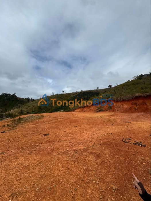 Bán Gấp 5 Sào Đất Lạc Dương, Lâm Đồng - View Thoáng, Sổ Riêng