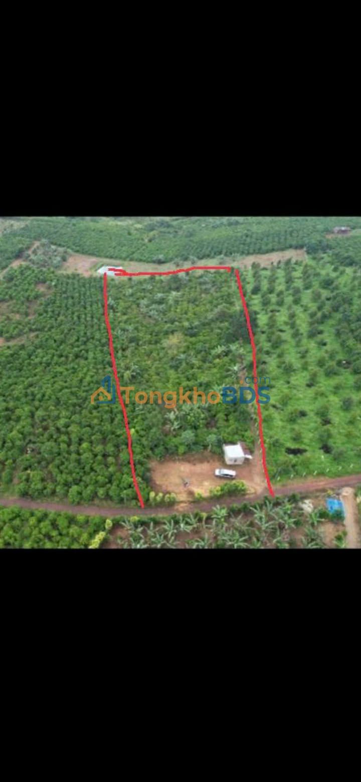 Đất nền Lộc An Bảo Lộc 6.3 sào 650tr - Đường to ô tô