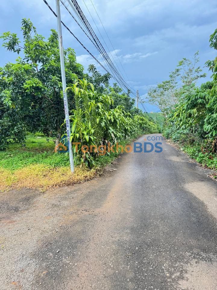 Đất nền Lộc Ngãi, Bảo Lâm 150m² 700 triệu - Sổ đỏ chính chủ