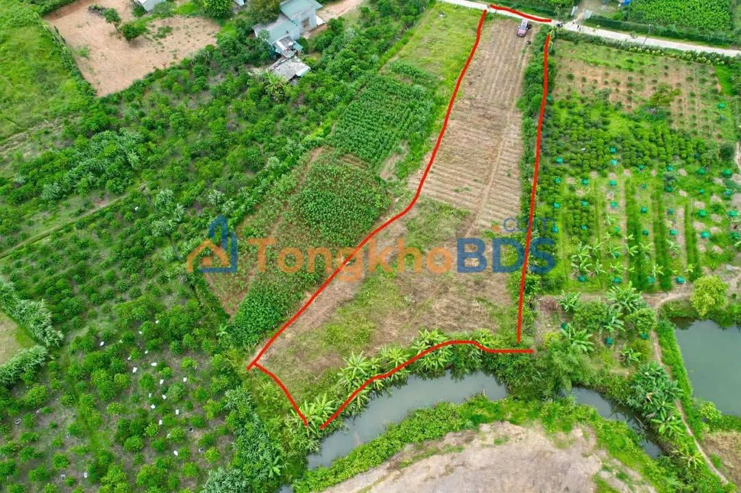 Đất nền B'Lao Xê Rê Lộc Châu 1379m² 1.77 tỷ - Sổ đỏ chính chủ