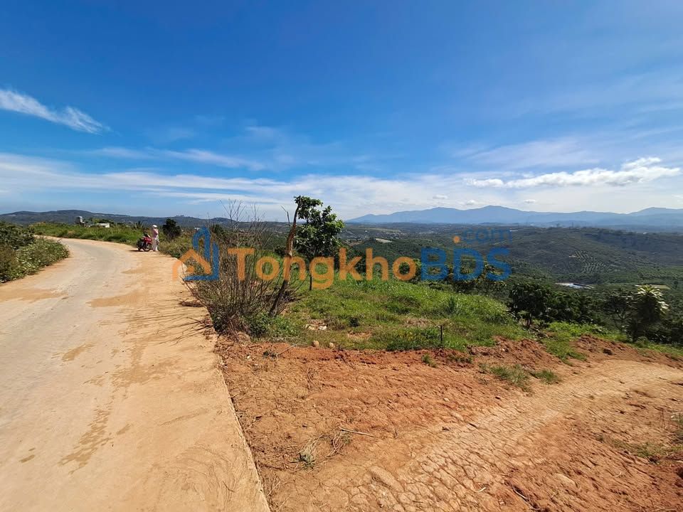 Đất nền Di Linh QL20 5.000m² - Đường to ô tô