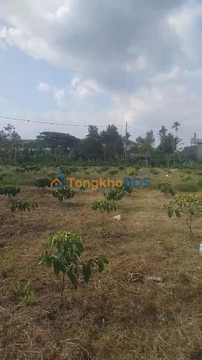 Đất nền Lộc Bắc Bảo Lâm 1,1ha - Sổ đỏ chính chủ