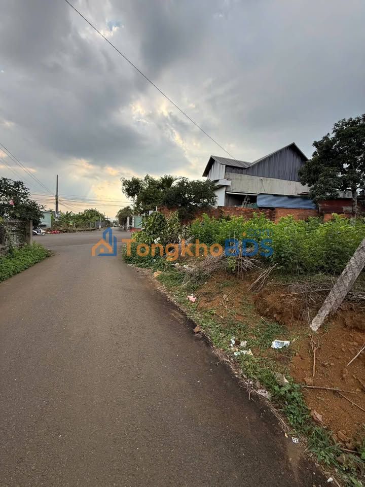 Đất Bảo Lộc Nguyễn Tri Phương 700m² - Đường to ô tô