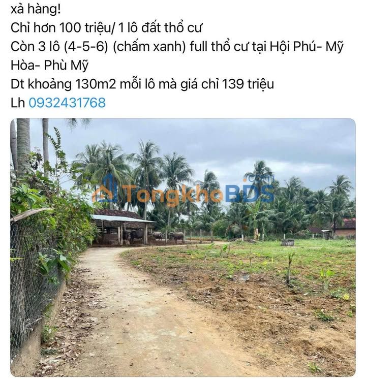 Đất thổ cư Phù Mỹ 130m² - Sổ hồng sẵn, giá đầu tư chỉ 139 triệu