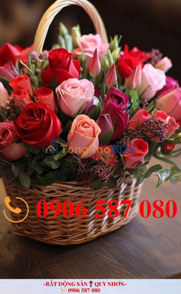 Đất nền Điện Biên Phủ Quy Nhơn 101m² 3 tỷ - Sổ đỏ chính chủ