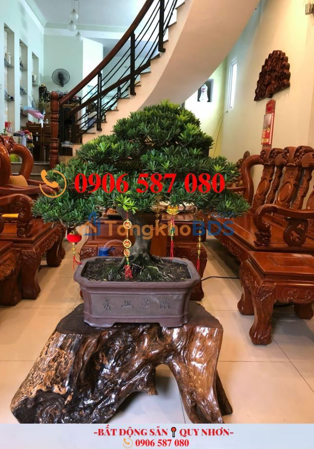 Nhà Hà Huy Tập Quy Nhơn 61m² 6.3 tỷ - Chính chủ bán