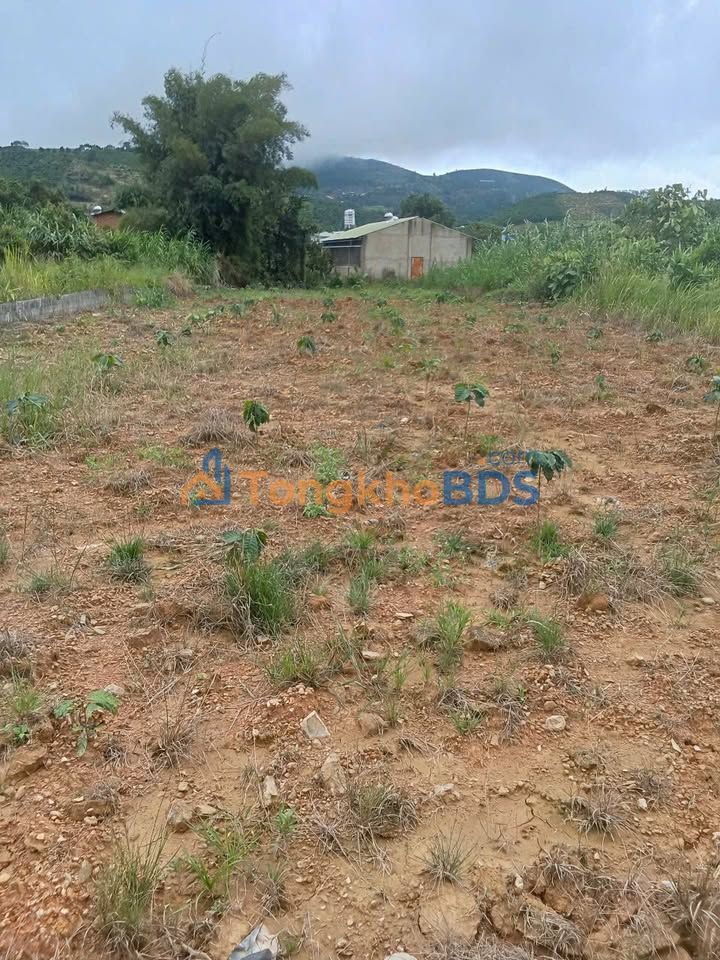 Đất vườn Lộc Châu Bảo Lộc 564m² 1 tỷ - Sinh thái xanh