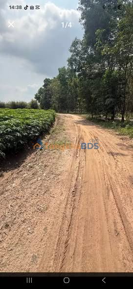 Bán Gấp Đất Vườn 7000m² Tân Biên, Tây Ninh - Giá Đầu Tư 5.95 Tỷ