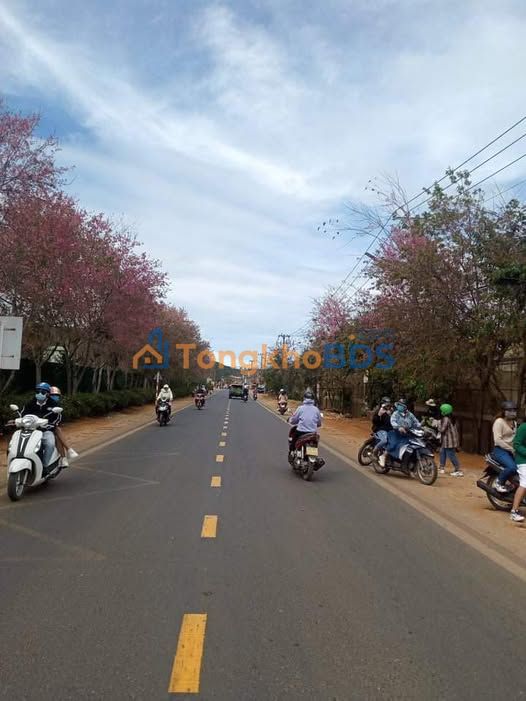 Nhà cấp 4 140m² Xuân Thọ Đà Lạt - View đẹp, Giá 3.8 tỷ