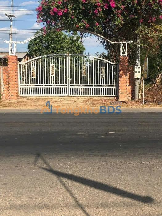 Đất nền QL22 Thạnh Trung 560m² 250tr/m² - Đất thổ cư 100%