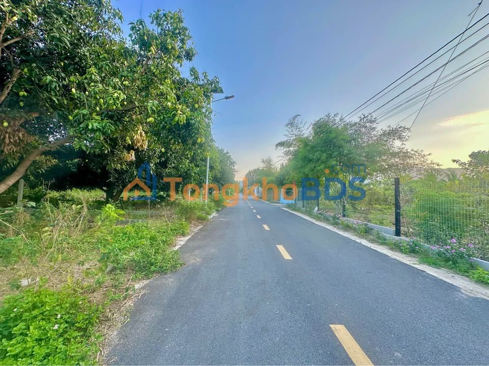 Đất nền Nguyễn Công Trứ Cam Lâm 340m² 91.8 tỷ - Sổ đỏ chính chủ