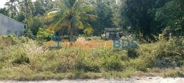 Đất nền Tỉnh lộ 959 Tri Tôn 1050m² 1,9 tỷ - Sổ đỏ