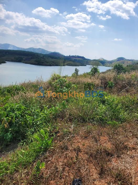 Đất nền Đăk Blà Kon Tum 1.600.000m² - Đường ô tô