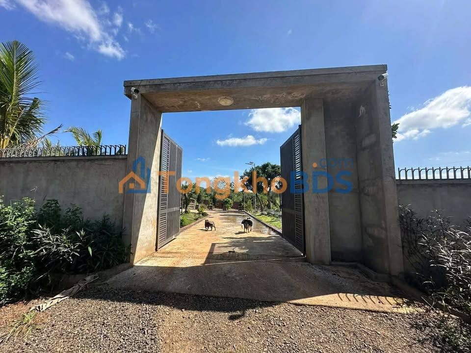 Nhà vườn Phường Khánh Xuân 2000m² giá 3.3 tỷ - Đường ô tô vào