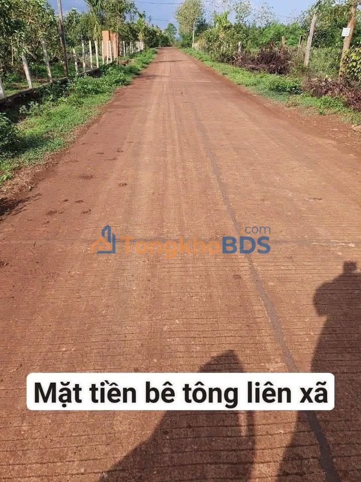 Đất nền Quảng Hiệp Cư M'gar 520m² 280 triệu - Sổ đỏ chính chủ