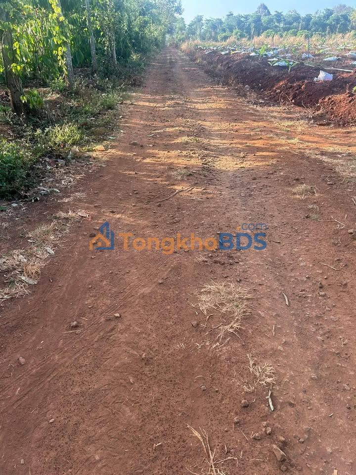 Đất nền Xuân Sơn Bắc 1.800m² giá 3 tỷ - Sóng đầu tư tăng nhiệt