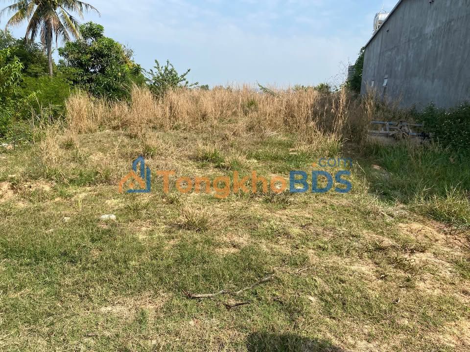 Đất nền Đắk Lắk 6500m² view ruộng mát mẻ, giá 3 tỷ - Sổ đỏ thổ cư