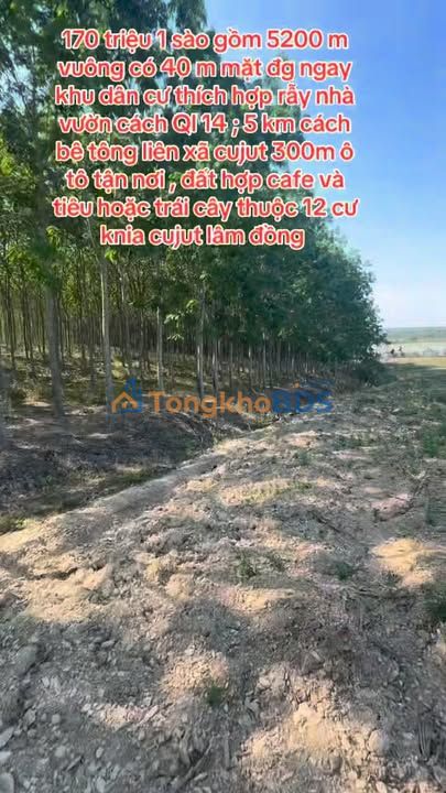 Đất nền Cư Knia Buôn Ma Thuột 5.200m² 2,456 tỷ - Đường ô tô